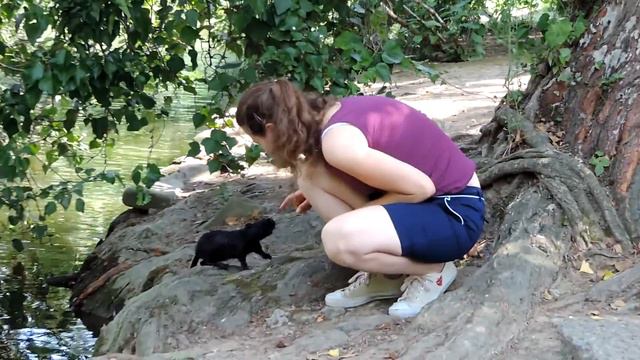 Грызун из пруда смотреть онлайн