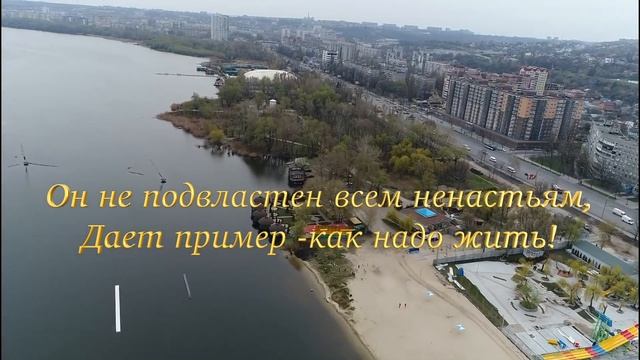 Кедровая Годовщина Cвадьбы смотреть онлайн