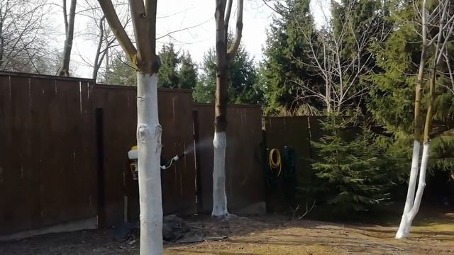 Обработка деревьев весной от вредителей и болезней смотреть онлайн