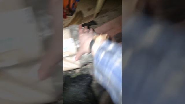 ?️ Тест прототипа Колоннады в промороженной избе. -21° снаружи +30° внутри за 2.5 часа и 14 брикето смотреть онлайн
