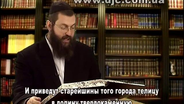 Шофтим, часть 7 смотреть онлайн