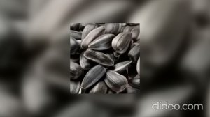 AP$ENT-Постой а можно я с тобой