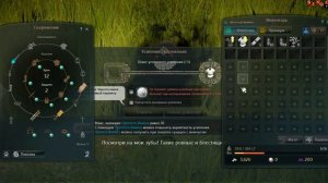 Обзор Black Desert , Black Desert gameplay, Блэк Десерт геймплей