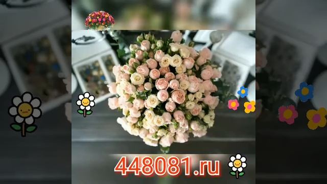 Цветы Сибири Тюмень. 74-98-99. Акция на тюльпаны смотреть онлайн