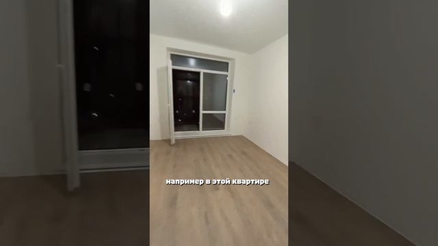 Всех нас кто-то ждет #новостройка #приемкаквартиры #отделка #ремонт #недвижимость #мышь смотреть онлайн