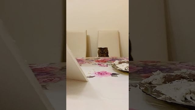 Гера на практике ♥️ #geravna #дом #левкас #учеба