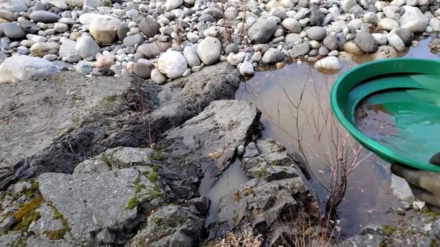 Remote Forgotten Canyon In California - How Much Gold Can We Find?