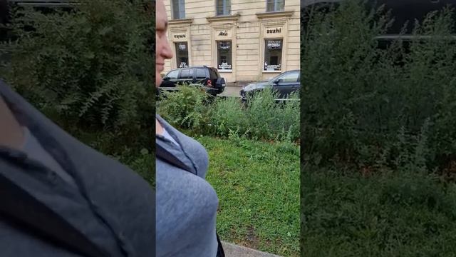 Она выкупила двух свиней, что бы их не сожрали! смотреть онлайн