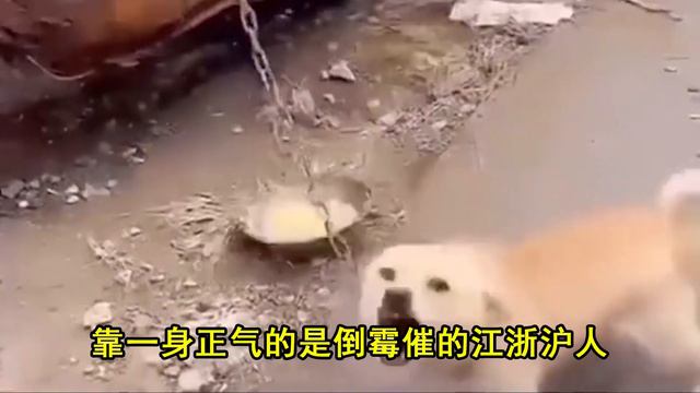 【萌新瞎配】早安，南方人！（过 冬 限 定 版） смотреть онлайн
