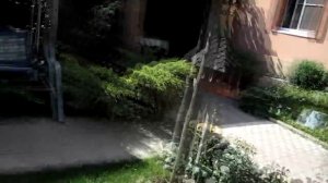 Помидоры вверх ногами  Часть 2 Подвешивание