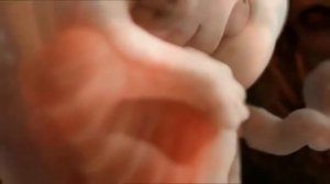 Зачатие ребенка Процесс овуляции