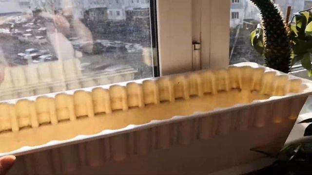 Обзор комнатных растений смотреть онлайн