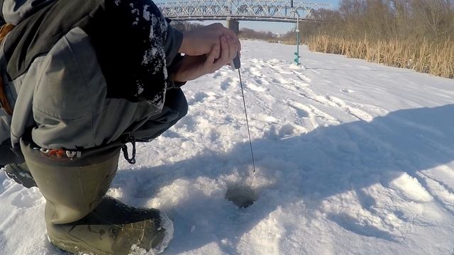 Зимняя блесна. Ловля окуня на р Б. Сосна смотреть онлайн