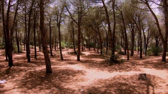 Bizerte смотреть онлайн