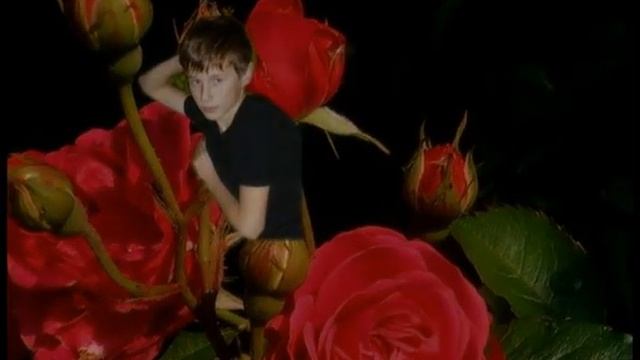 погиб единственный сын смотреть онлайн