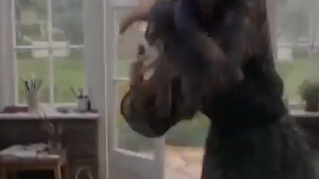 Le Meilleurs film d'animal complet en français смотреть онлайн