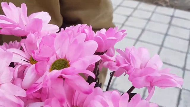 Букет из хризантем Яркая ромашка смотреть онлайн