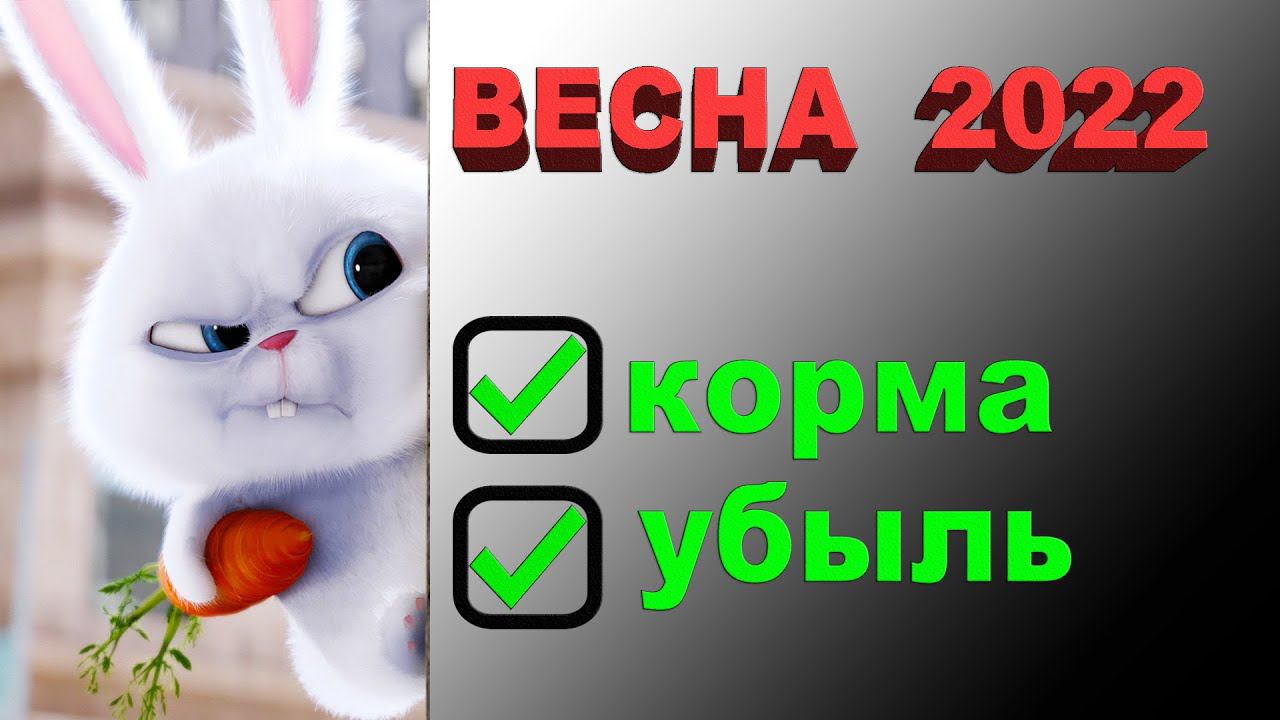 Весна 2022... Кормовые запасы, сокращение поголовья смотреть онлайн