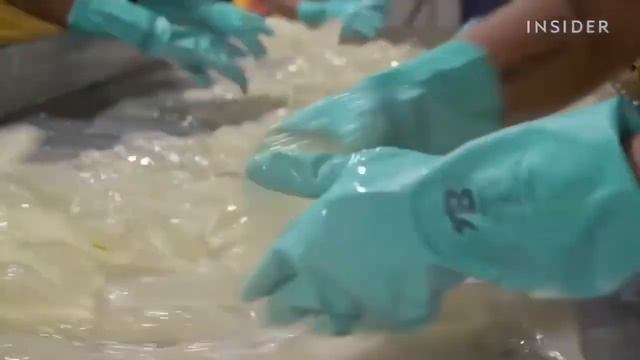 Алое Вера сорт Барбаденсис Миллера для продукции Форевер смотреть онлайн