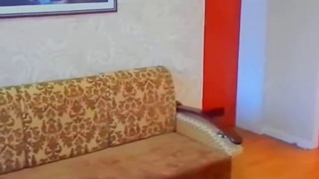 1-комнатную квартиру на сутки снять в Минске 3 смотреть онлайн