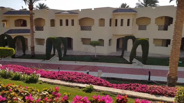 Grand Oasis Resort ШАРМ-ЭЛЬ-ШЕЙХ/ШАРКС БЭЙ смотреть онлайн