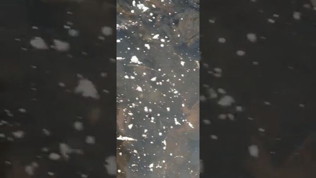 Лягушки зимуют. смотреть онлайн
