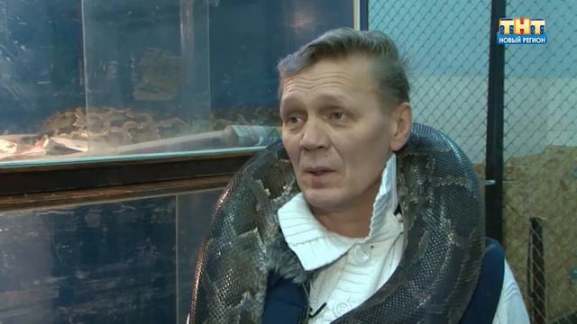 Животные циркачи смотреть онлайн