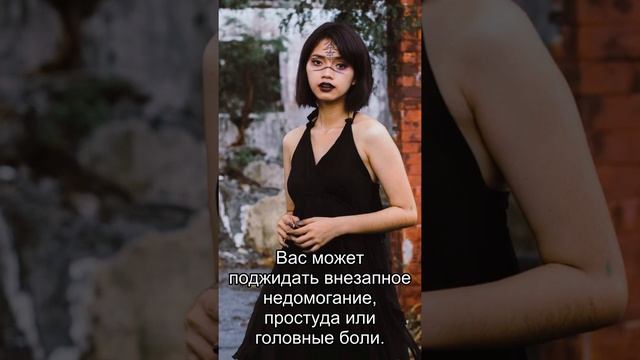 Сон дня: К чему снится Гамбургер? смотреть онлайн