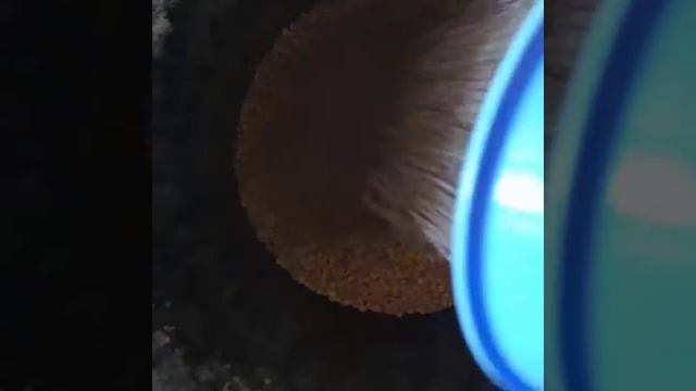 Приготовление кормосмеси смотреть онлайн