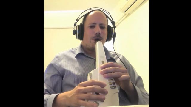 Summertime cover by Ben Peretz - AE 10 - Flute смотреть онлайн