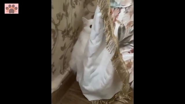 INCREDIBLE Animals - Funniest Cats and Dog videos?? Funny Animal videos 2023_Try Not To Laugh?? #4 смотреть онлайн