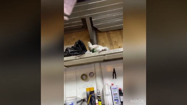 БМВ Е34 туринг 4WD сервопривод открытия заднего окна смотреть онлайн