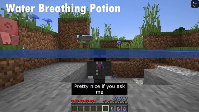 Every Minecraft 1.17.1 Potions Explained! Brewing Guide смотреть онлайн