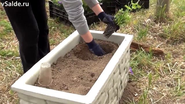 Посадка цветов в Верхней Салде смотреть онлайн