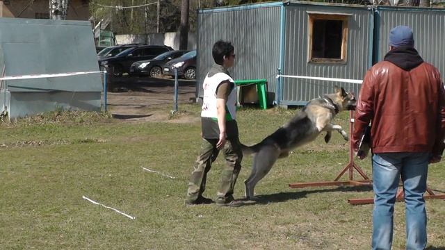 Чемпионат Московской области 2017 г. по ОКД и ЗКС (ОКД). Камера 2.