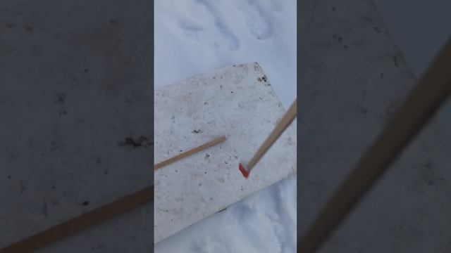 Equinox 900: Парк1 или Поле1 !?