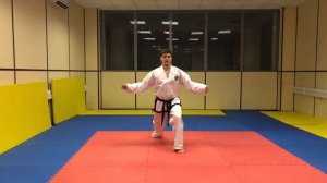 Вон-Хё Туль Обучение Тхэквондо (6 туль, на синюю полоску)