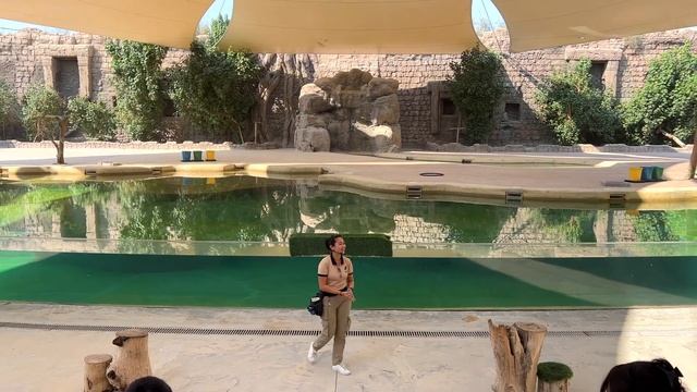DUBAI SAFARI PARK - Part 2 | 4K | Dubai Tourist Attraction