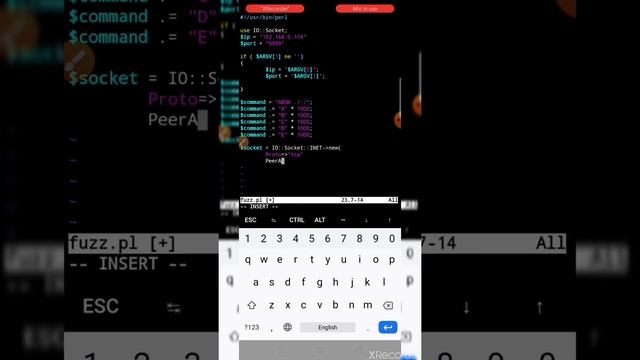 Attacking on vulnerable server (bufferoverflow) through small Perl socket program | Made by Mr.Veno смотреть онлайн