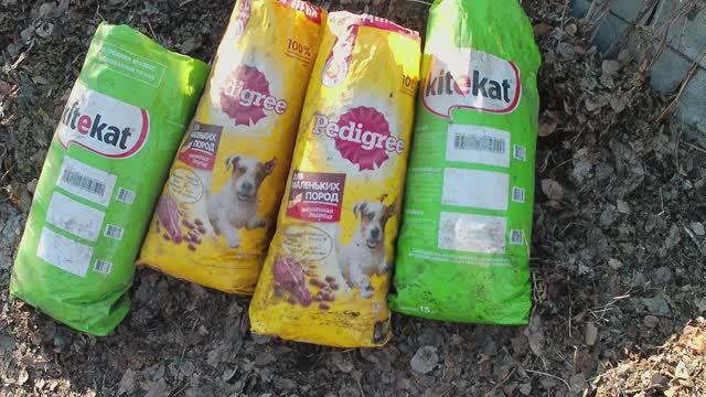 Чем кормить червей в домашних условиях. Заготовка корма для червей смотреть онлайн