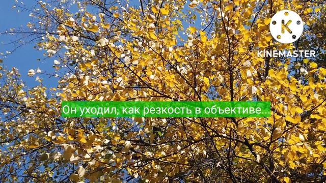 немного юмора 2022 сентябрь.mp4 смотреть онлайн