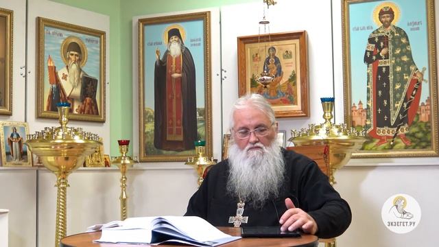 Шизофрения - духовная болезнь? Протоиерей Евгений Горянчик. смотреть онлайн