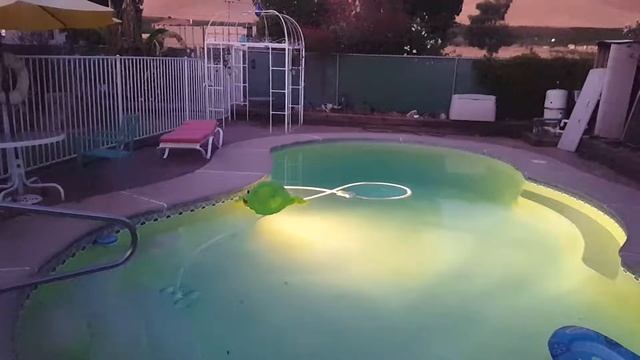 Echo Dot automation with Sonoff modules смотреть онлайн