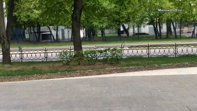 Почему дорожает газ на заправках и какие электромобили будут продавать китайцы – Влог 111 смотреть онлайн