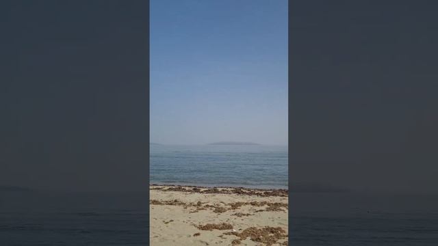 ПЕРЕЛЕТНЫЕ УТКИ. ? смотреть онлайн