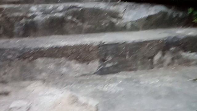 John Kellogg's Manchester Street Mansion, hidden art in the stairs. смотреть онлайн