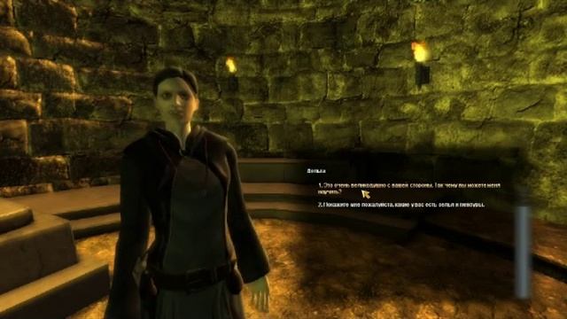 Обзор игры Drakensang "The Dark Eye" смотреть онлайн