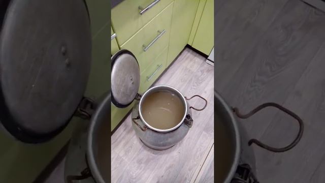 Зоопарк и Дикие Животные