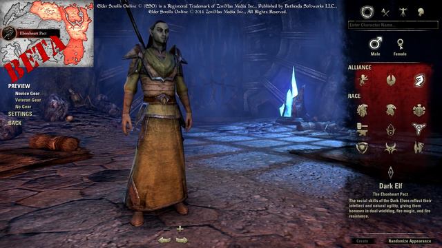 Elder Scrolls Online (ESO) - Dark Elf Character Creation With Commentary (Male & Female) смотреть онлайн