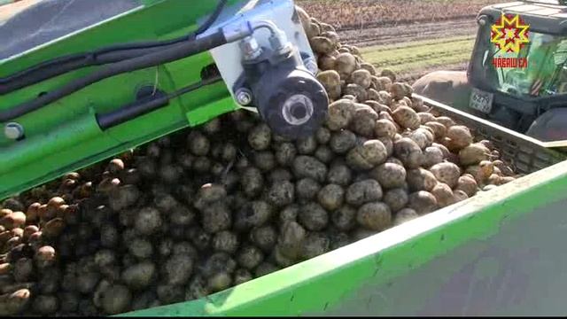 Репортаж с выставки "Картофель 2020" в Чебоксарах. смотреть онлайн